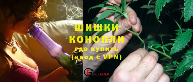 закладка  Ессентуки  Конопля план 